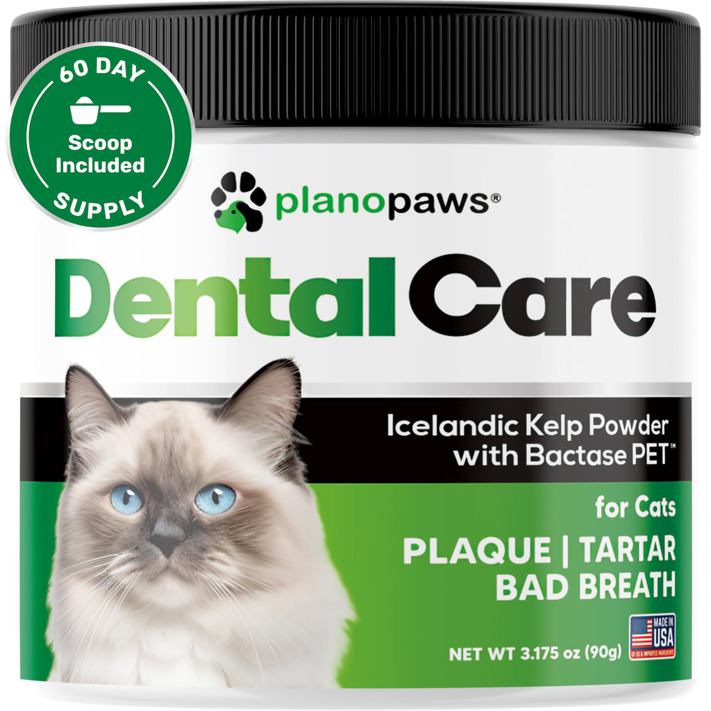 Dental Powder for Teeth Cleaning K3018