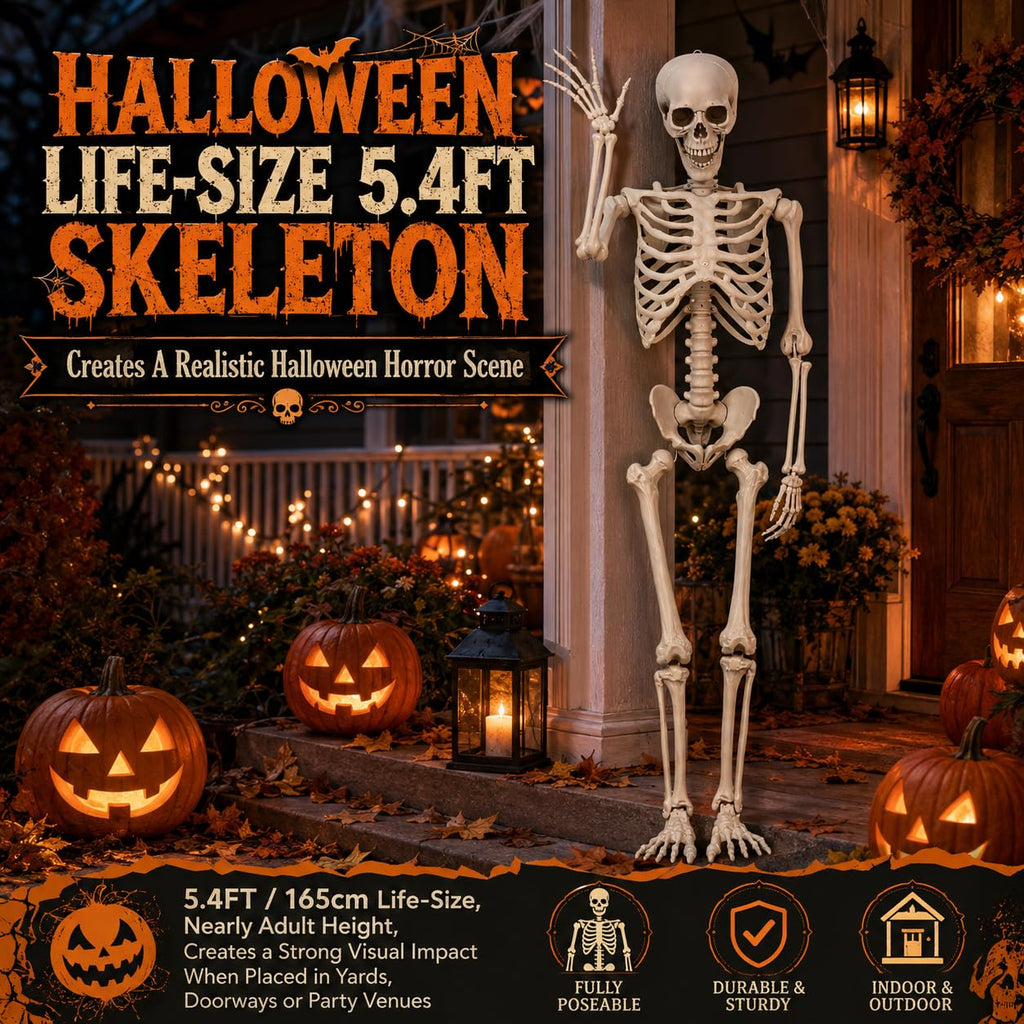 Life Size Poseable Skeleton with Movable Joints J6348