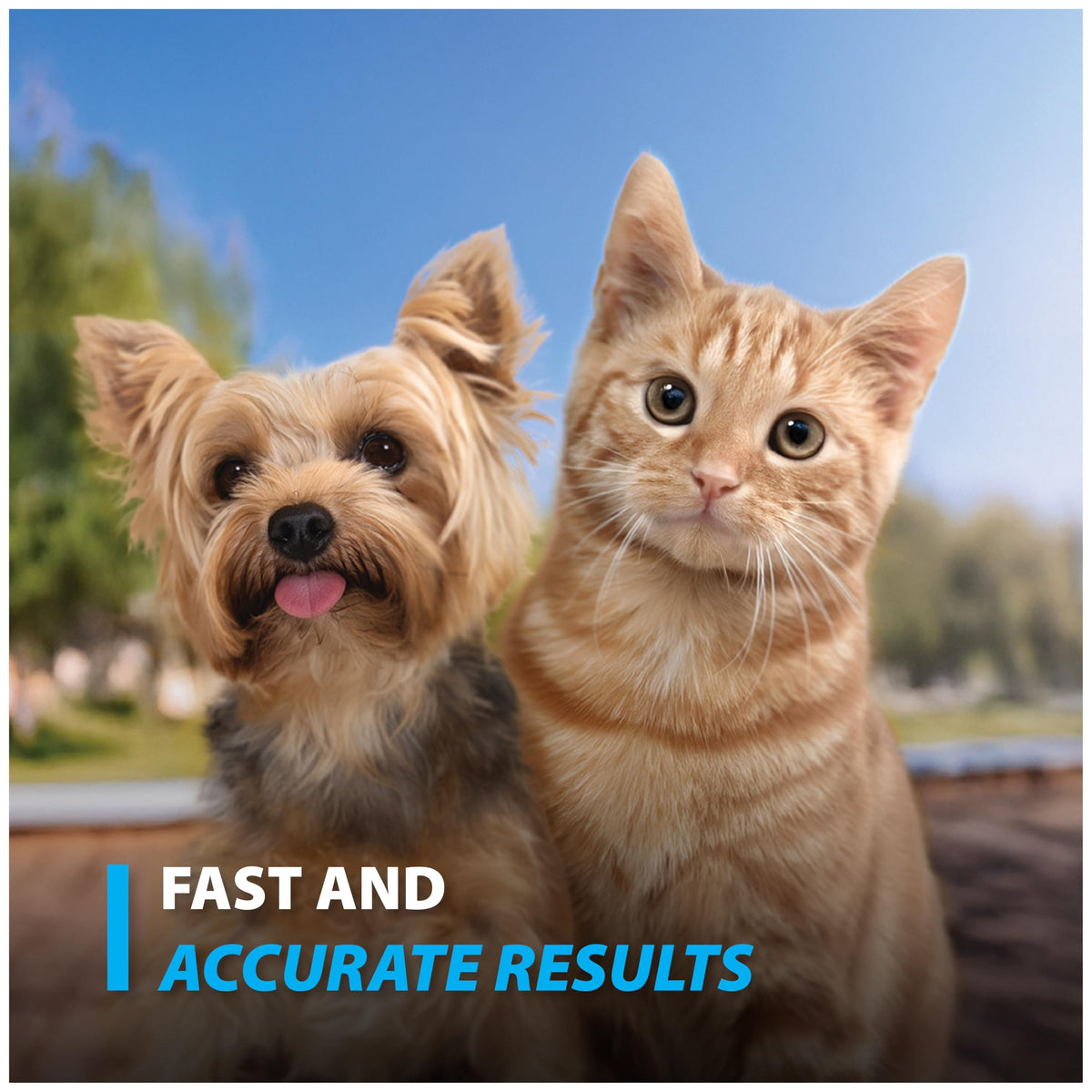 Pet Glucose Test Strips 50 Count V3681