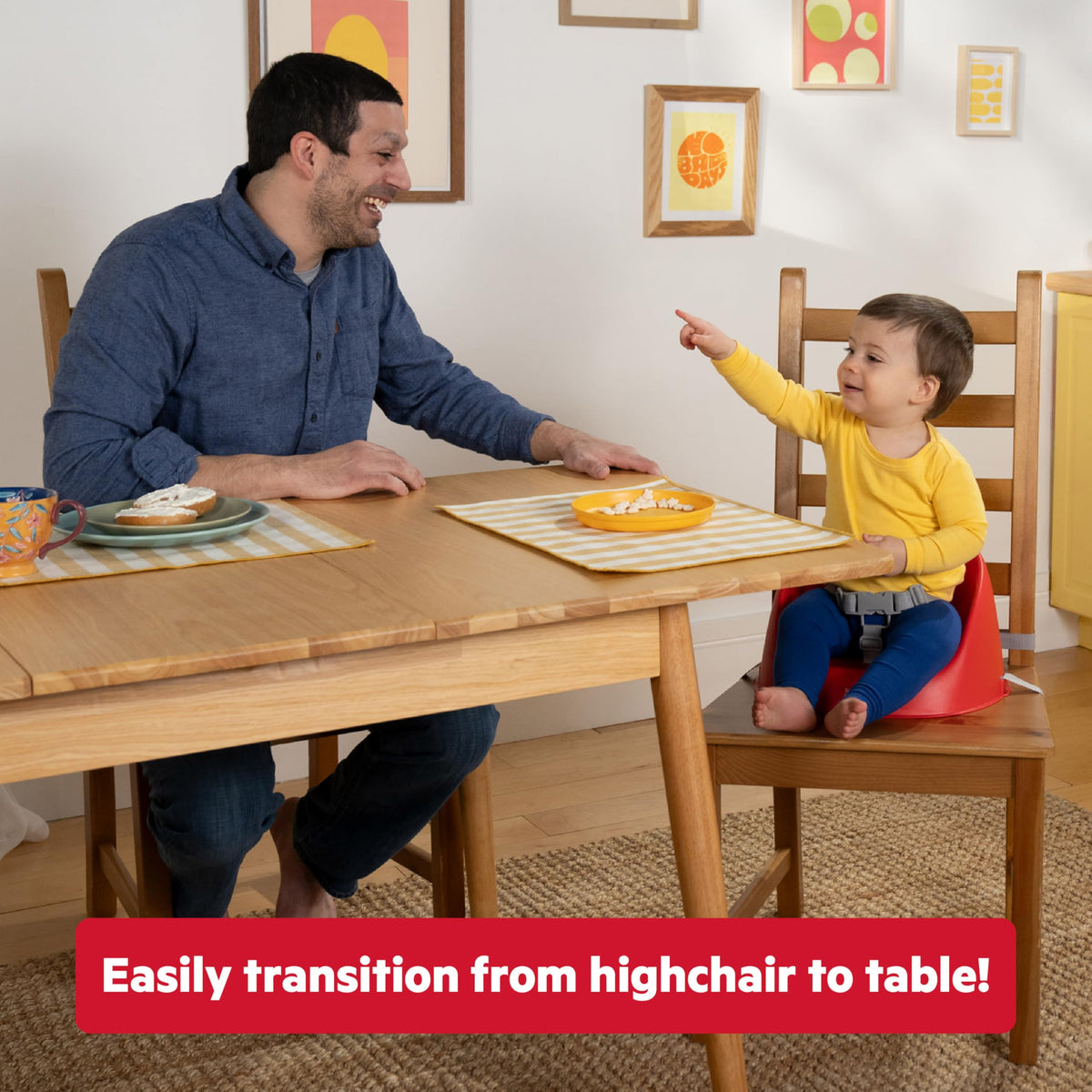 Easy-Clean Baby Booster Feeding Chair with 3-Point Harness S991
