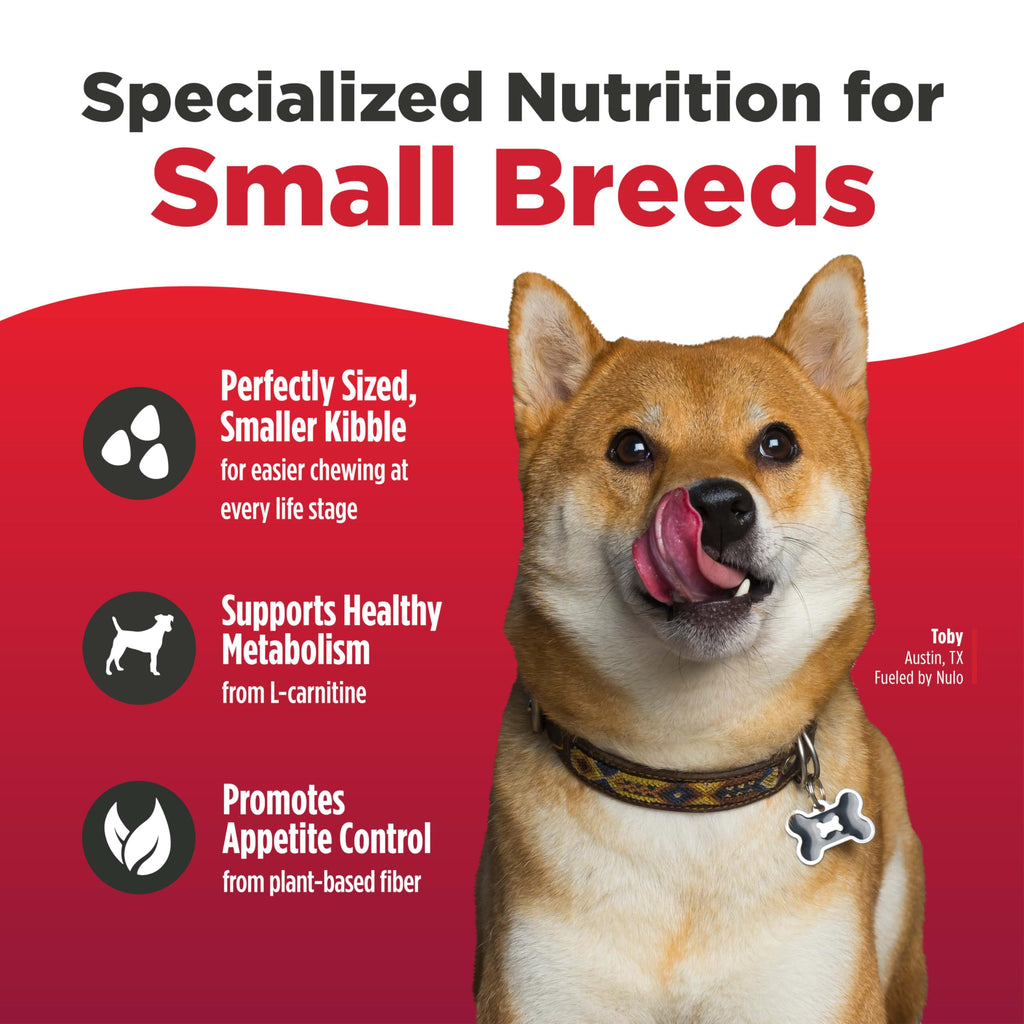 Salmon & Lentils Grain Free Dry Dog Food 6lb Bag I9317