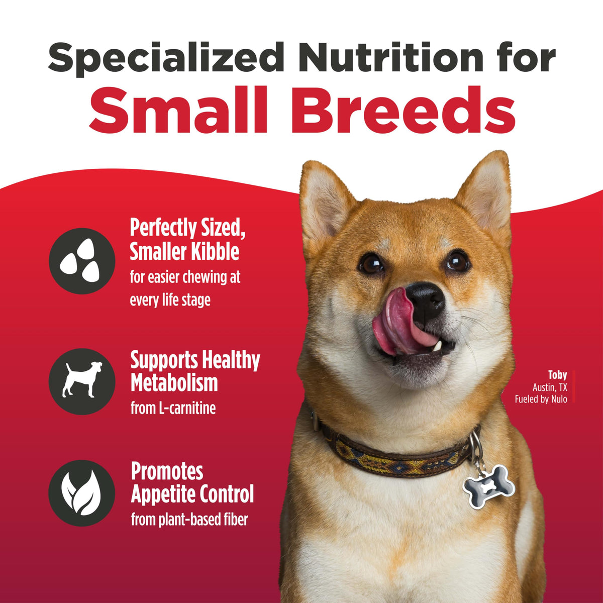 Salmon & Lentils Grain Free Dry Dog Food 6lb Bag I9317