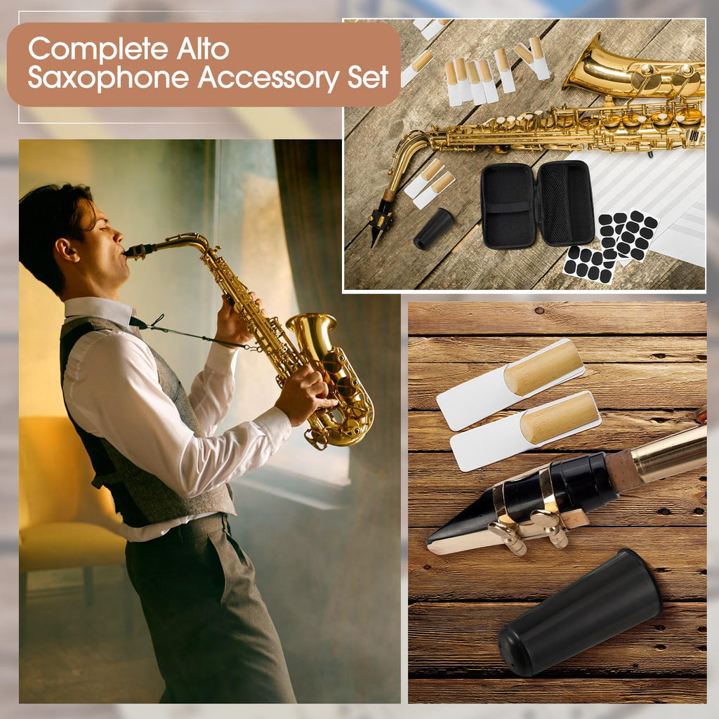 49 Pcs Alto Saxophone Replacement Kit with Mouthpiece Reeds Storage Case P376471