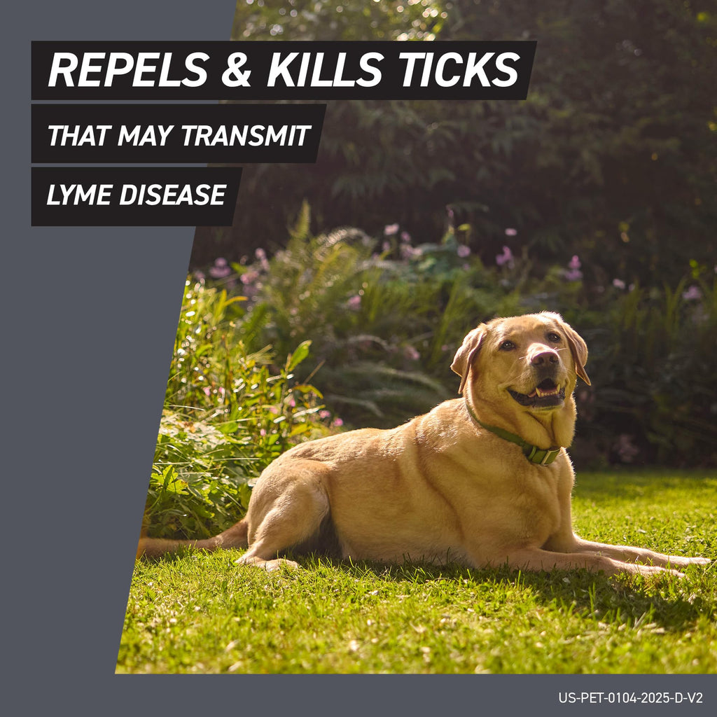 Flea & Tick Treatment for X-Small Dogs 5-10 lbs. Count of 3 T878791