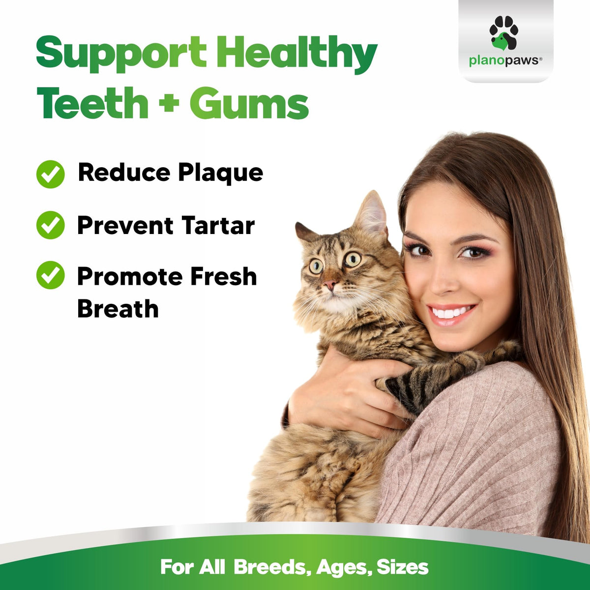 Dental Powder for Teeth Cleaning K3018
