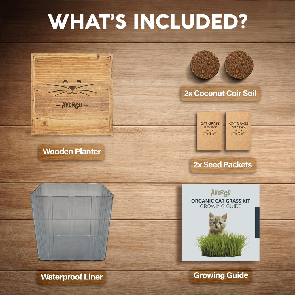 Cat Grass Kit with 2 Seed Packets B119