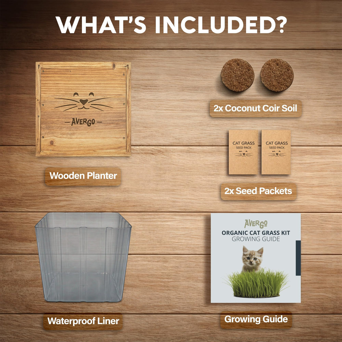 Cat Grass Kit with 2 Seed Packets B119