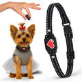Small Dogs Bark Collar with Magnetic Charging W9080