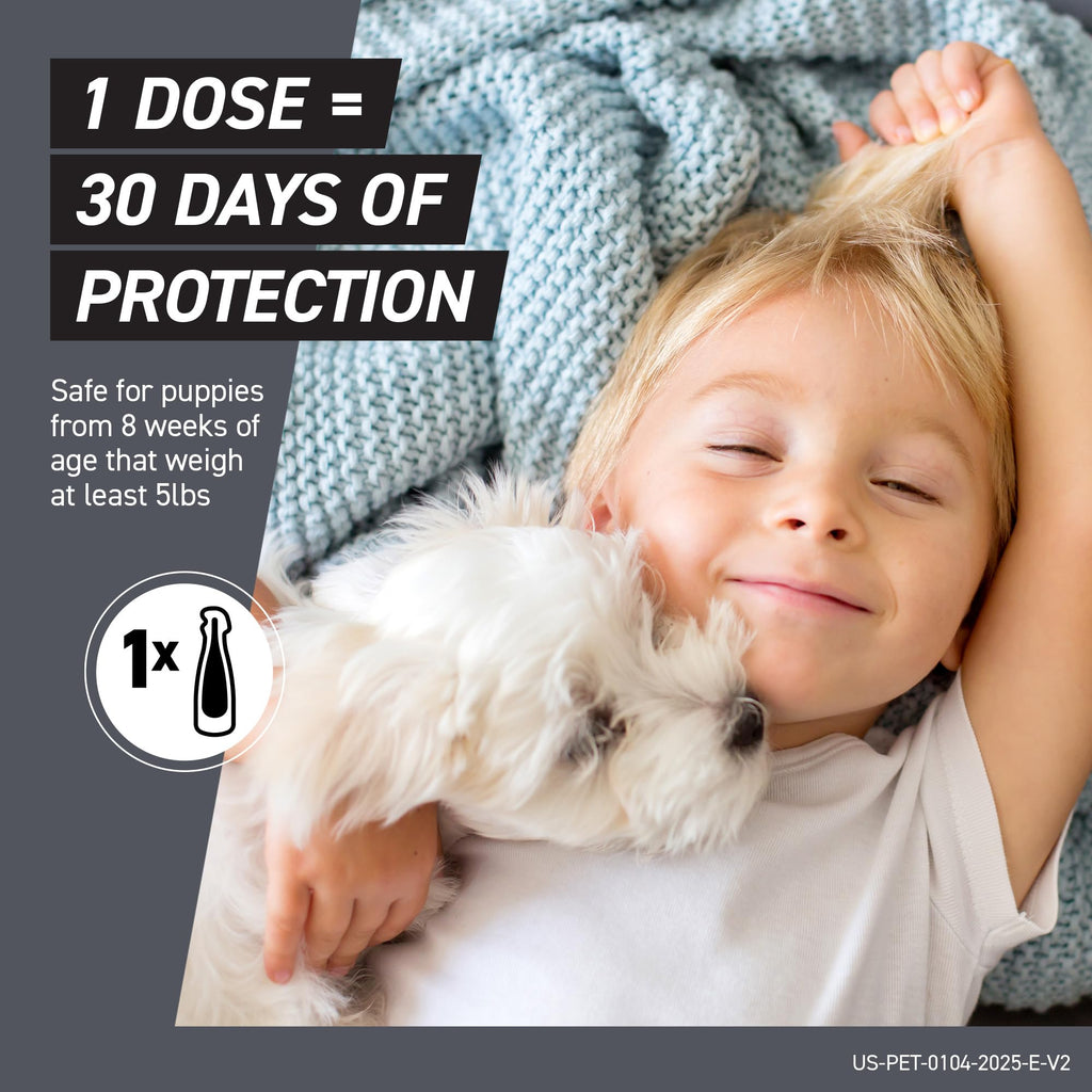 Flea & Tick Treatment for X-Small Dogs 5-10 lbs. Count of 3 T878791