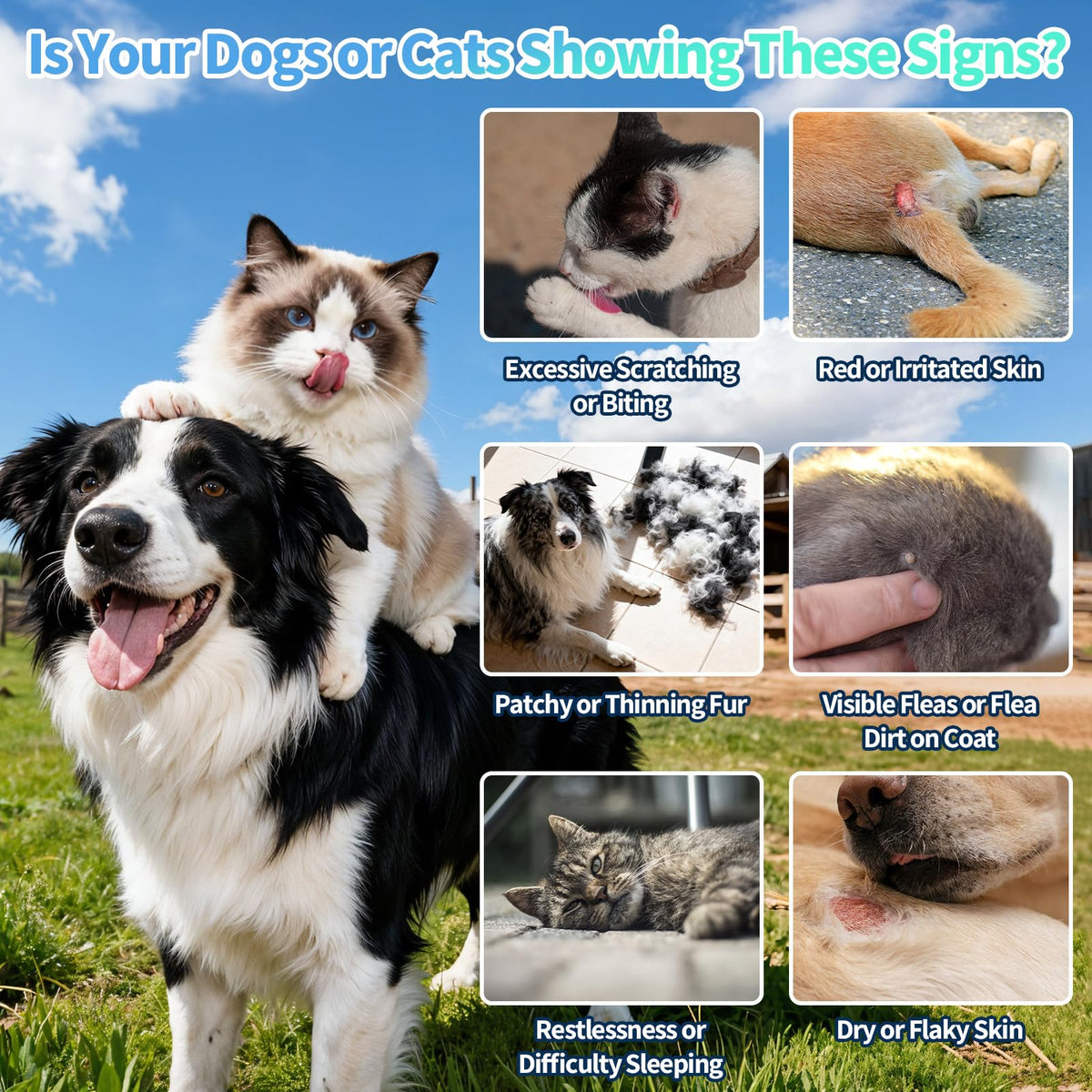 Natural Oral Flea and Tick Drops with Multivitamin for Pets H454903