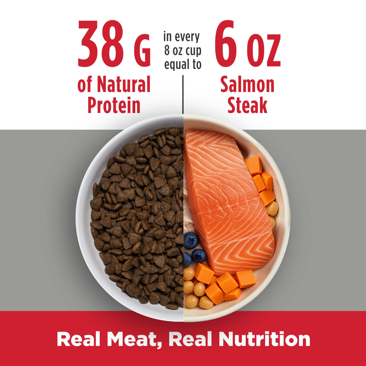 Salmon & Lentils Grain Free Dry Dog Food 6lb Bag I9317