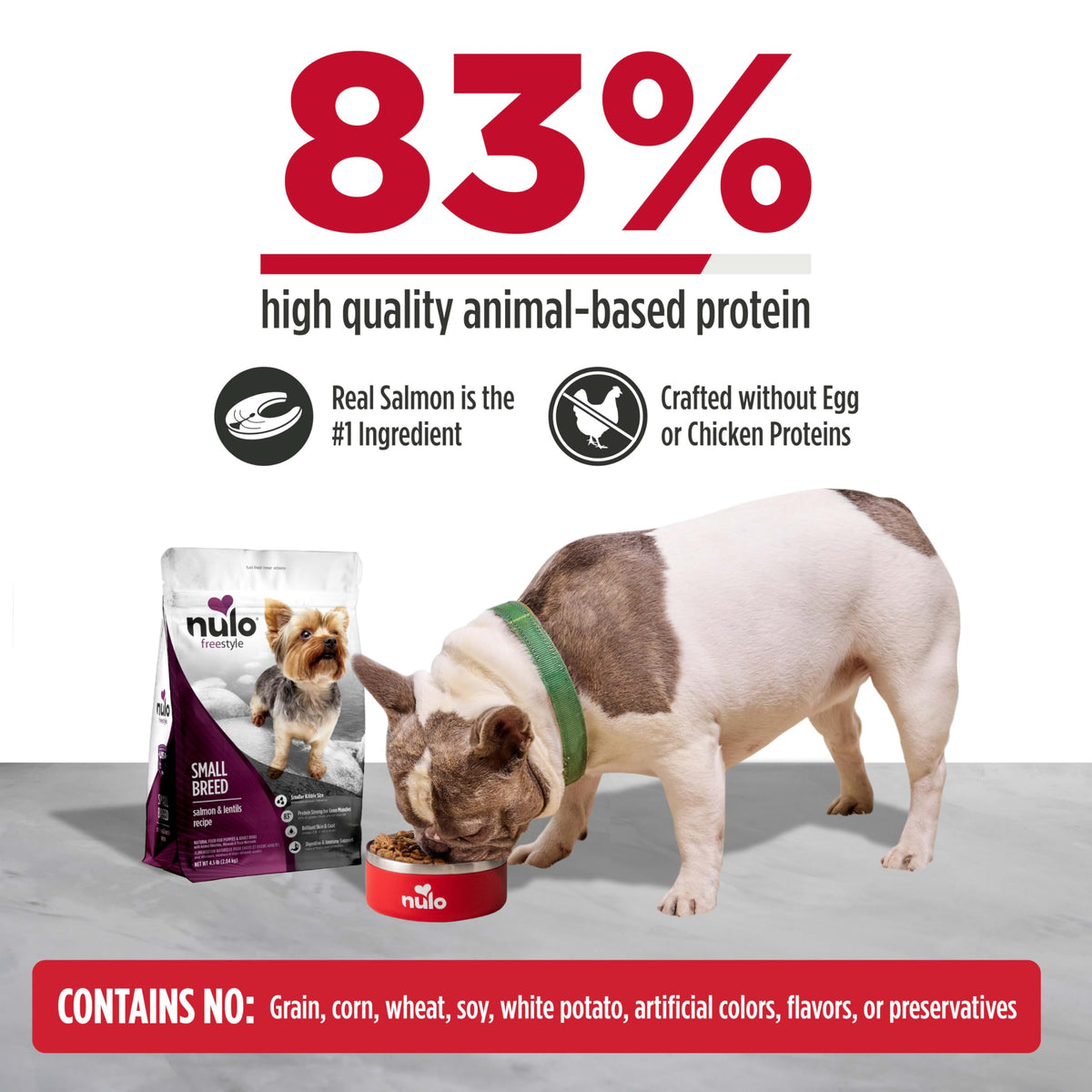 Salmon & Lentils Grain Free Dry Dog Food 6lb Bag I9317
