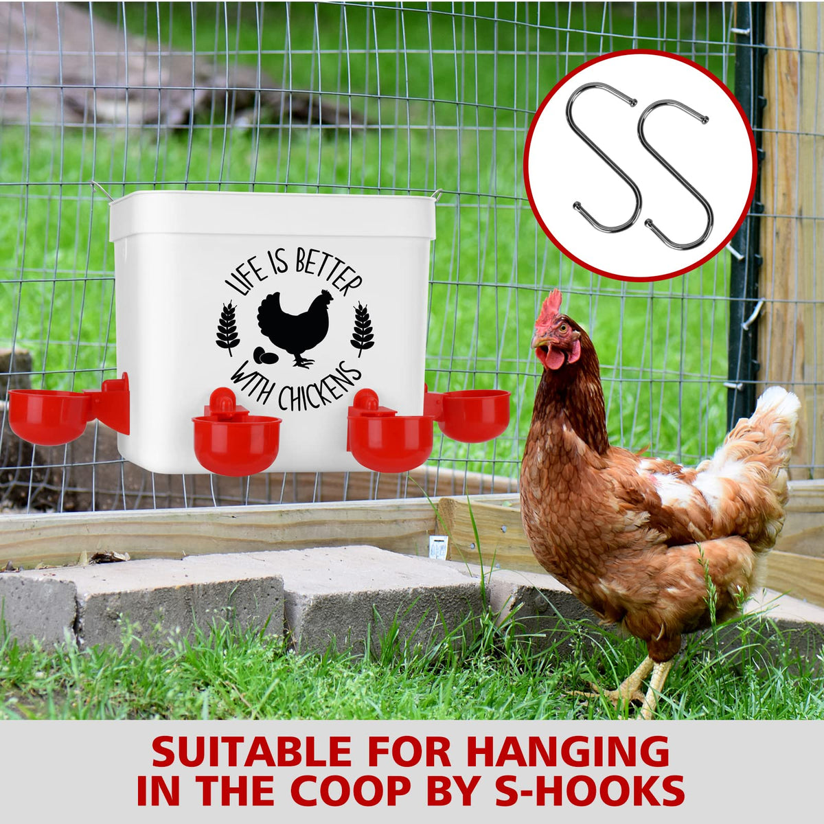 Chicken Waterer with 4 Water Cups 2 Gallon V5435