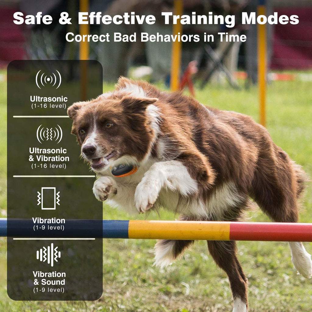 Vibrating Dog Training Collar with Remote O770482