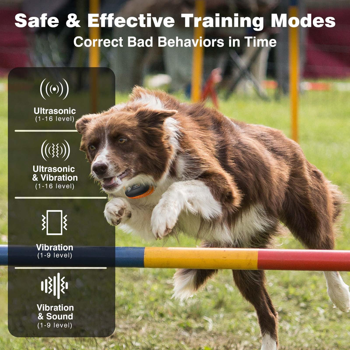 Vibrating Dog Training Collar with Remote O770482