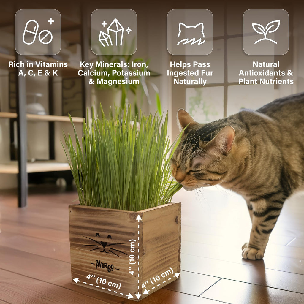Cat Grass Kit with 2 Seed Packets B119