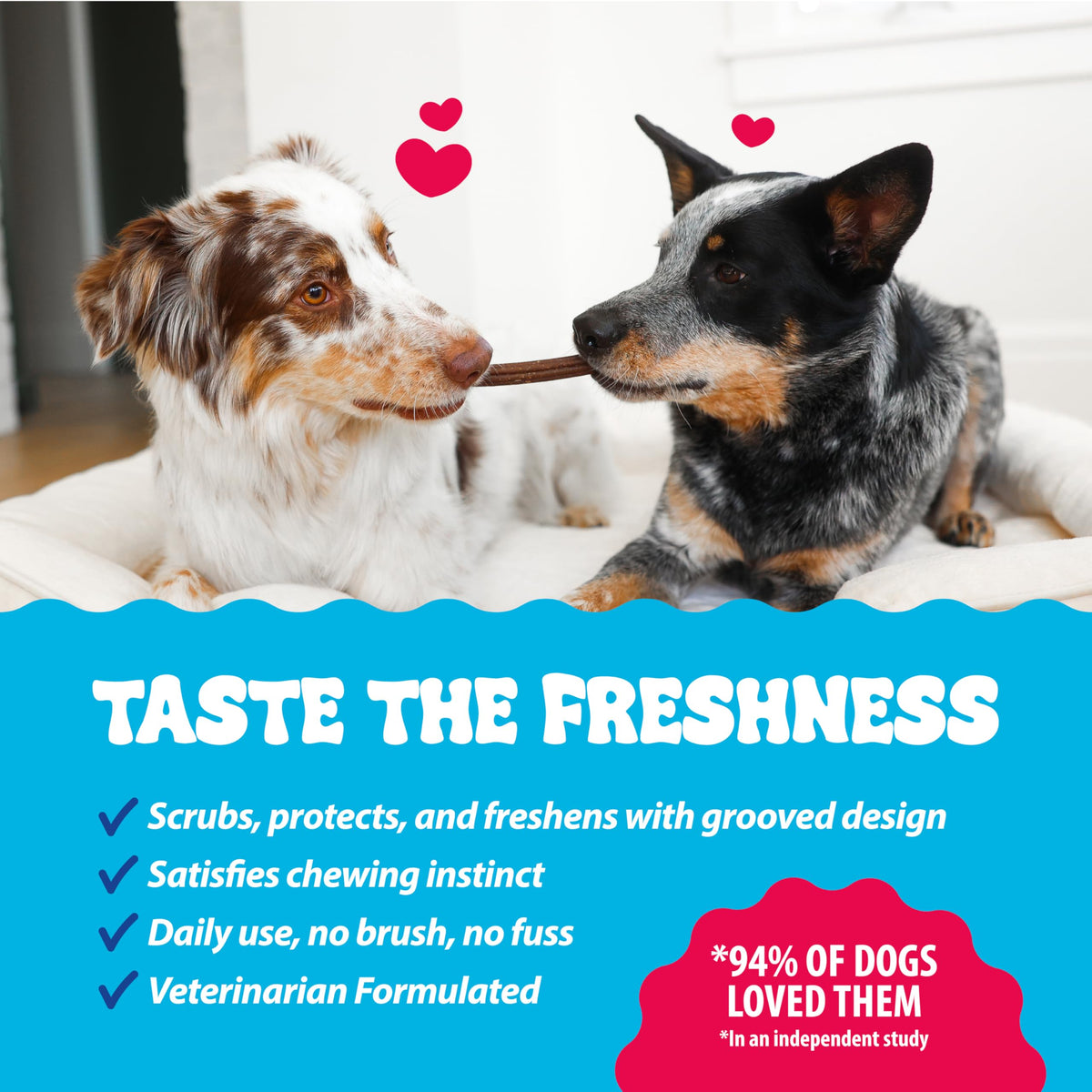15 Ct Dental Treat Sticks for Large Dogs R6896