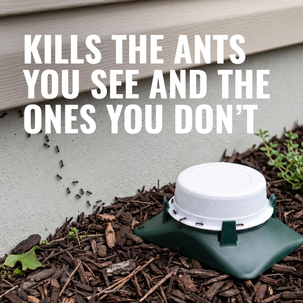 Outdoor Liquid Ant Bait Killer and Trap 8 Bait Stations Z95808