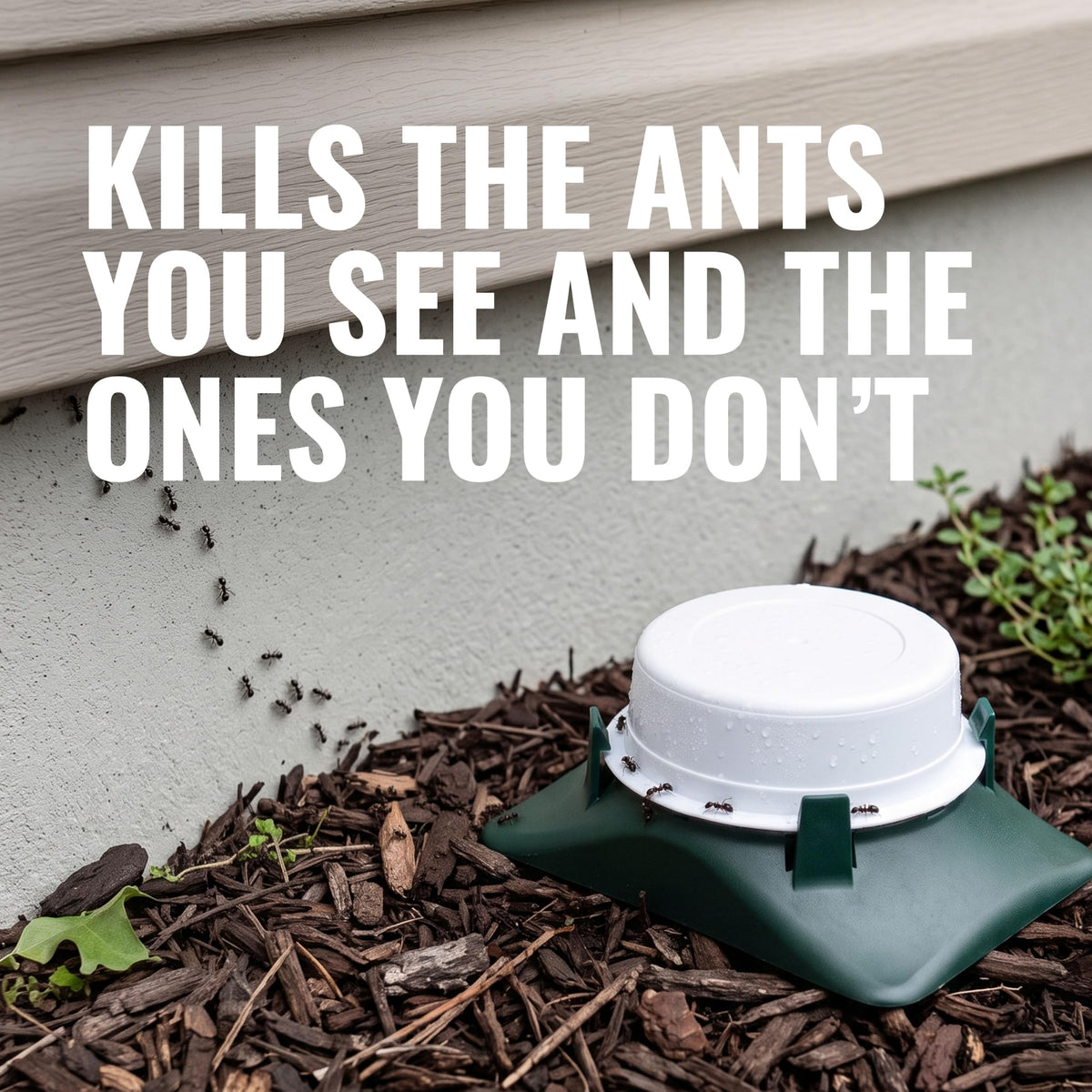Outdoor Liquid Ant Bait Killer and Trap 8 Bait Stations Z95808