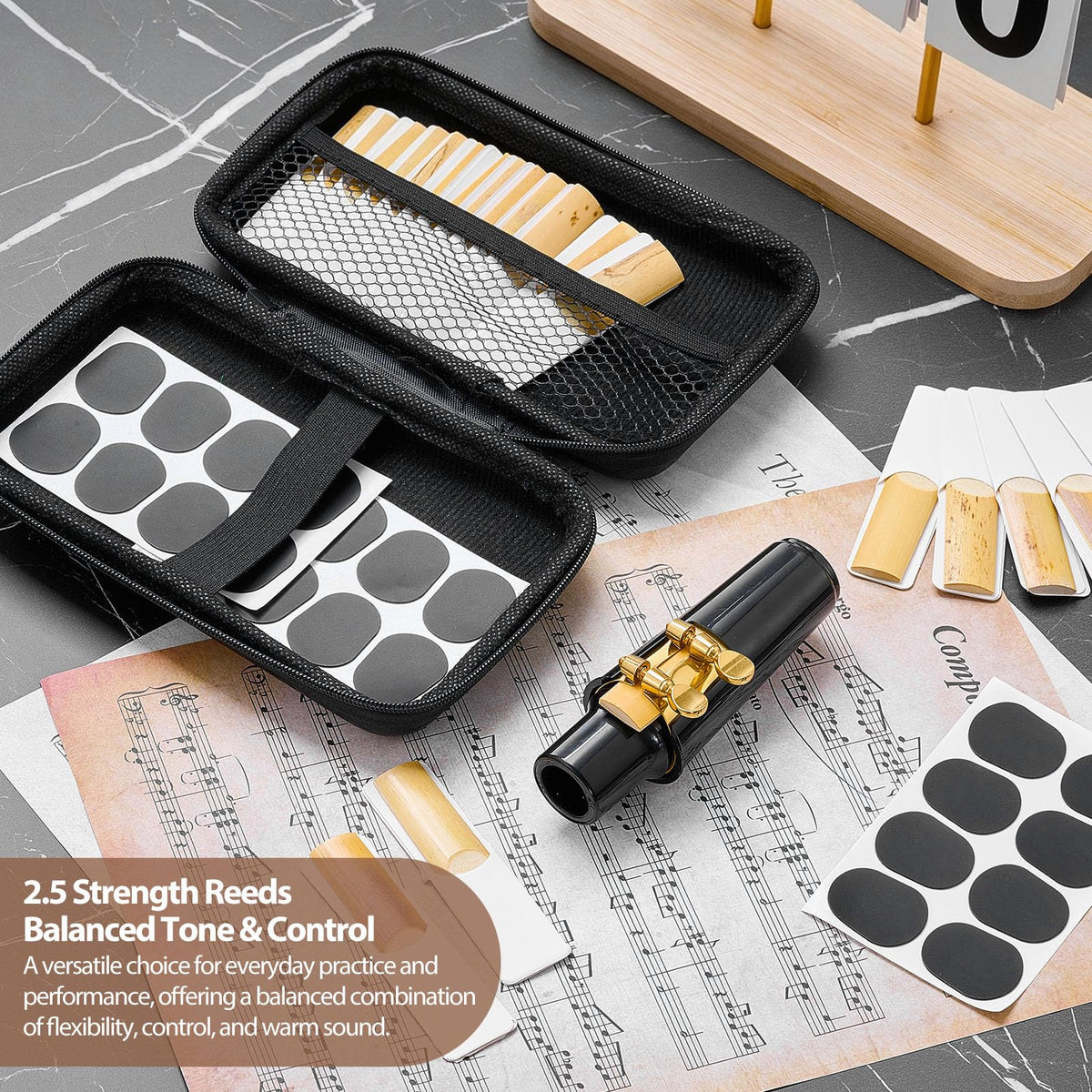 49 Pcs Alto Saxophone Replacement Kit with Mouthpiece Reeds Storage Case P376471