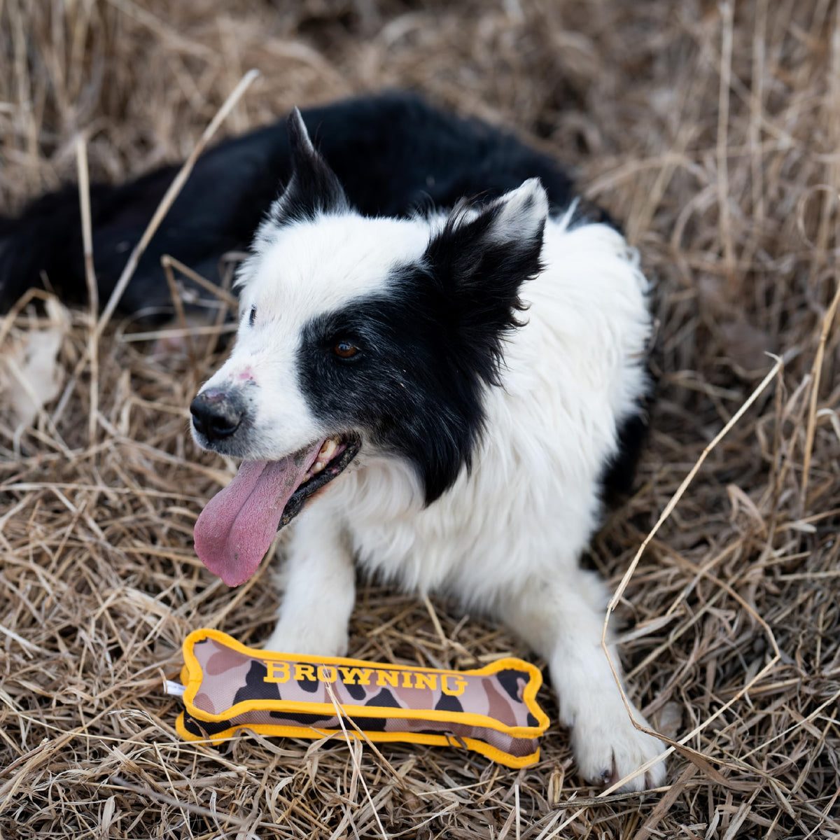 Canvas Bone Toy S730