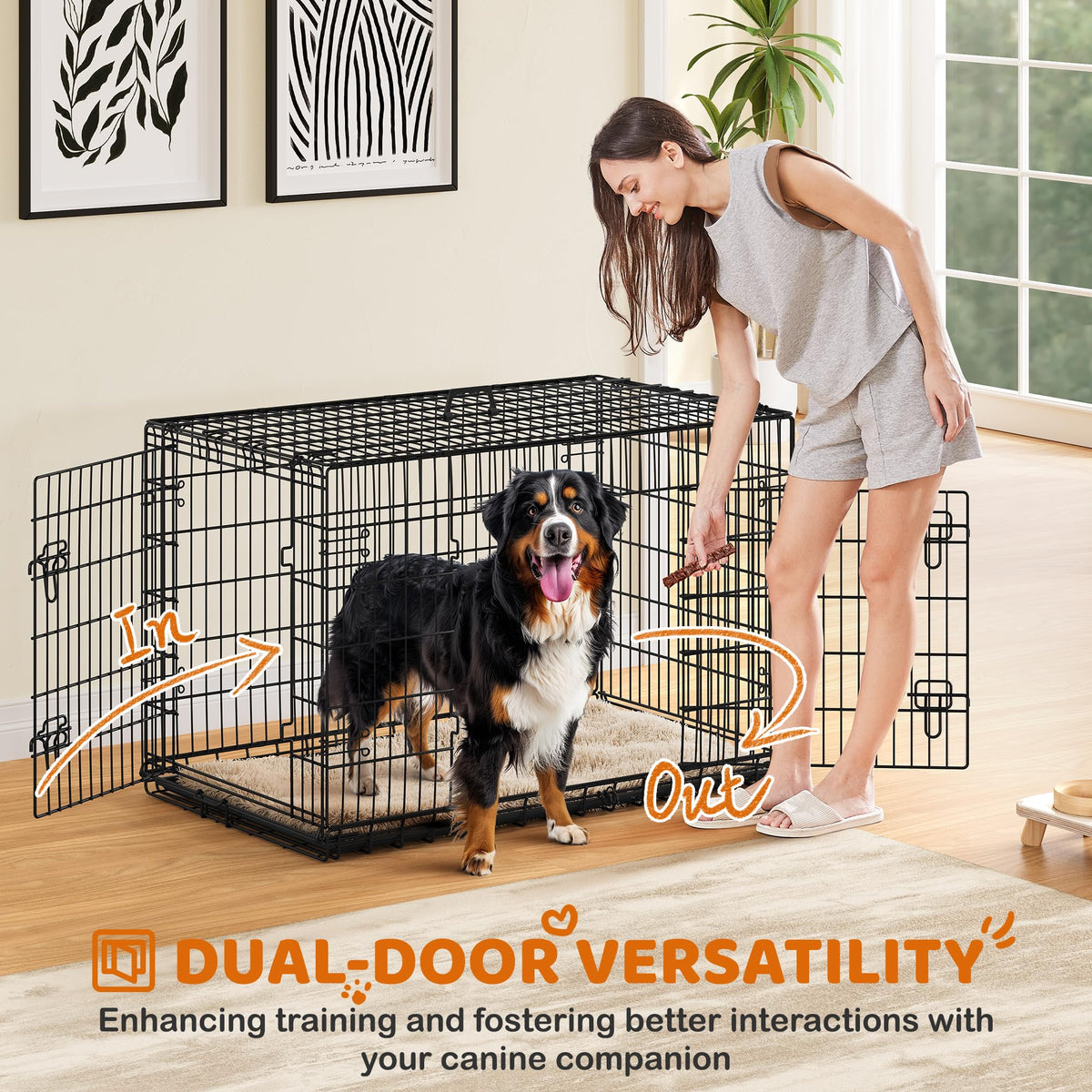 48 inch Collapsible Metal Dog Crate with Divider Y32438